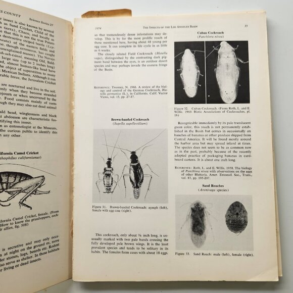 The Insects of the Los Angeles Basin Vintage Book by Charles L. Hogue 19… - Picture 7 of 16